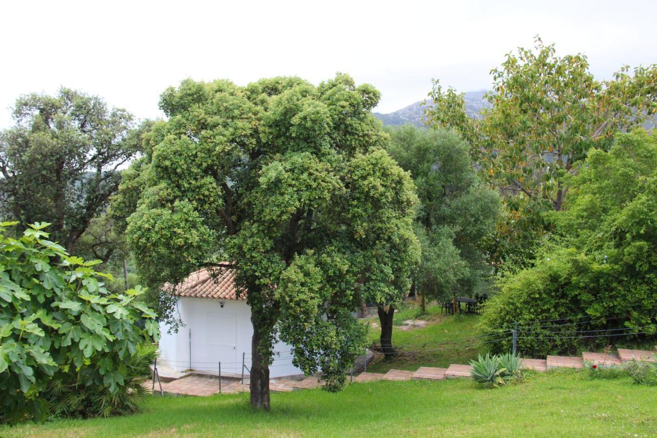 El Campo *